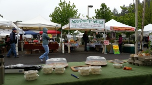 The view from my chair in our booth at Poulsbo Farmers Market.